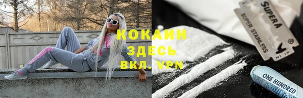 спайс Арсеньев