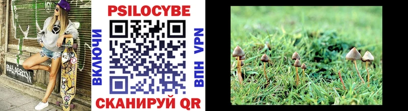 цена   kraken ONION  Псилоцибиновые грибы MAGIC MUSHROOMS  Лахденпохья 